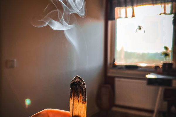 Husrensning pågår och marina håller i en palo santo som ryker. En andlig tjänst som renar och beskyddar ditt hem.